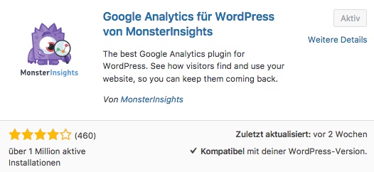 Mit der Hilfe des WordPress Plugins Monster Insights Google Analytics einbinden