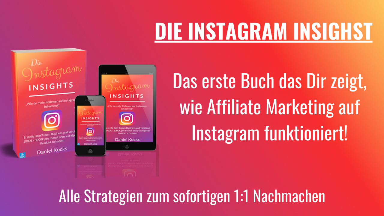 Instagram Insights Buch zum Geldverdienen auf Instagram